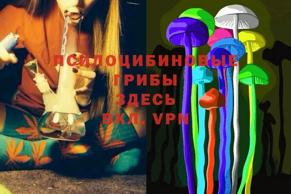 тгк Волосово