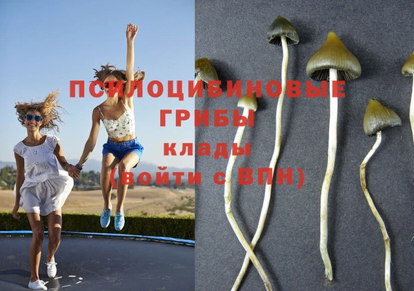 тгк Волосово